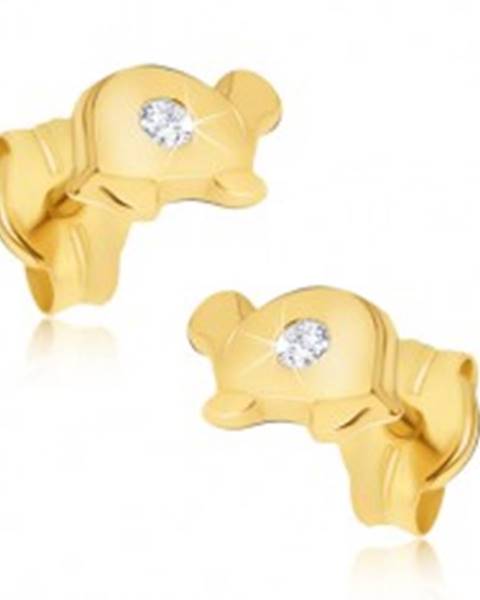 Zlaté náušnice 585 - malé lesklé korytnačky s čírym kamienkom na pancieri