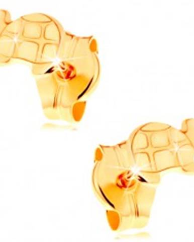 Zlaté náušnice 585 - lesklá korytnačka s gravírovanými detailmi
