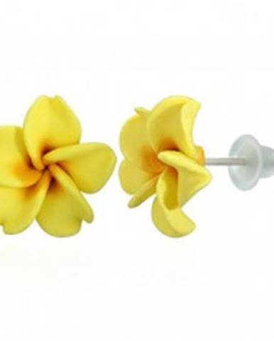 Žlté Fimo náušnice - tvar kvet Plumeria